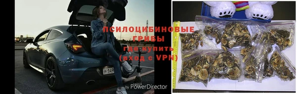 ешки Алексин