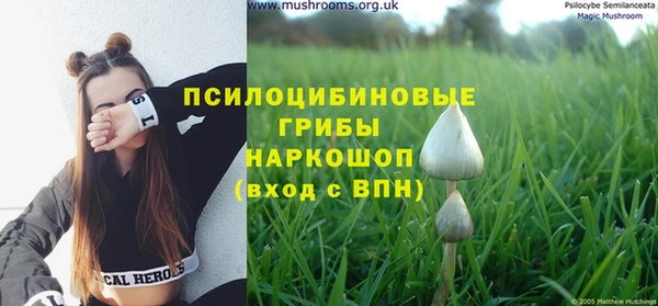 соль курить ск Алексеевка
