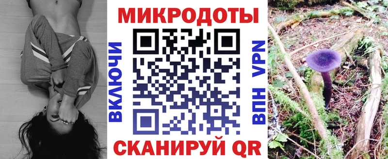 гидра ТОР  Пучеж  Псилоцибиновые грибы Cubensis  что такое  